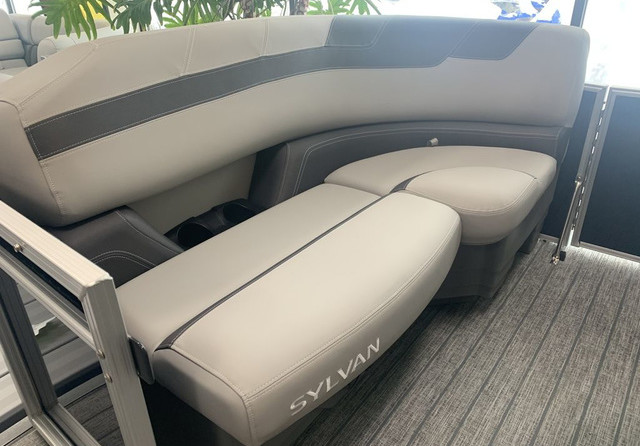 Sylvan L-3 Party Fish