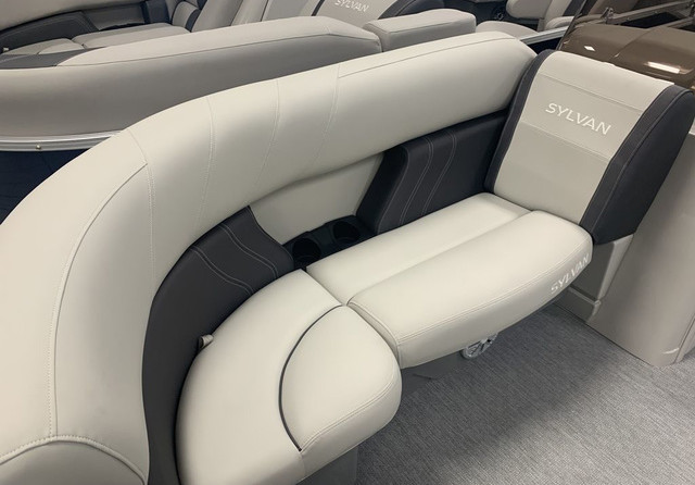 Sylvan 8520 Cruise