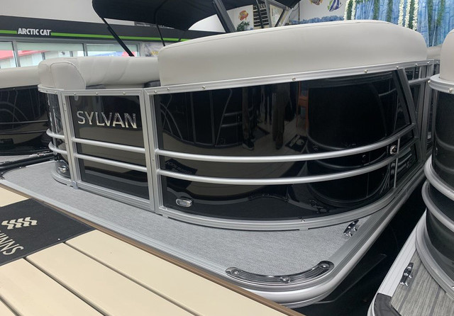 Sylvan 8520 Party Fish