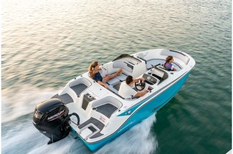 Bayliner Element M17