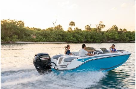 Bayliner Element M17