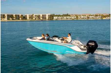 Bayliner Element M17