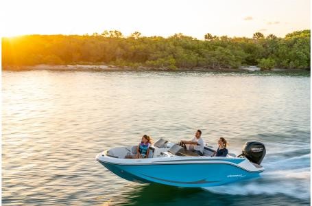 Bayliner Element M17