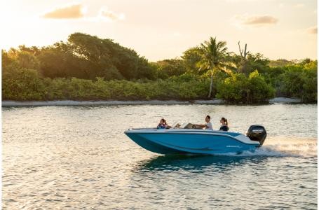 Bayliner Element M17