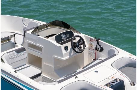 Bayliner Element M17