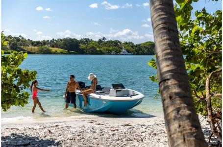 Bayliner Element M17