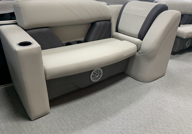 Sylvan 8520 Party Fish