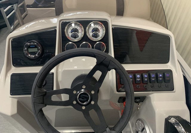 Sylvan 8520 Party Fish