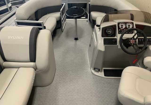 Sylvan 8520 Party Fish