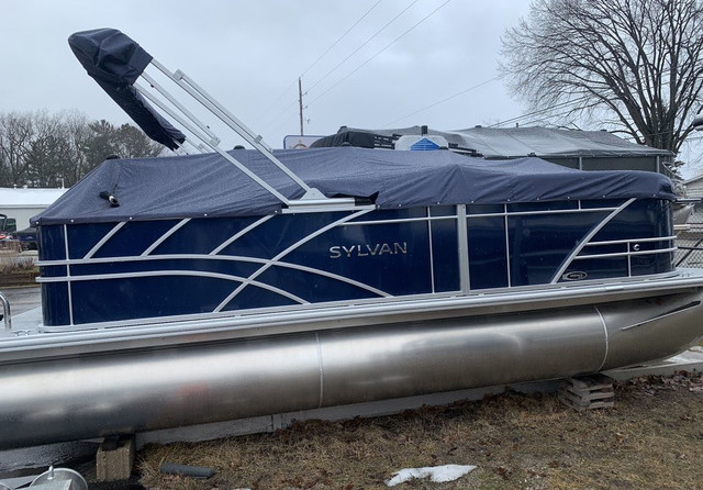 Sylvan 8520 Party Fish