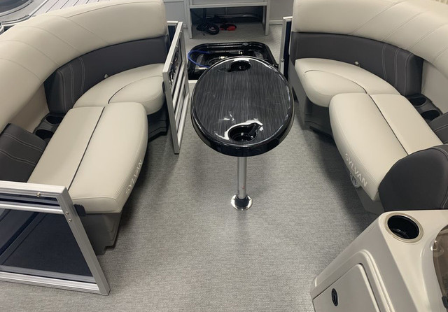 Sylvan 8520 Party Fish