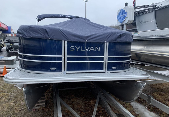 Sylvan 8520 Party Fish