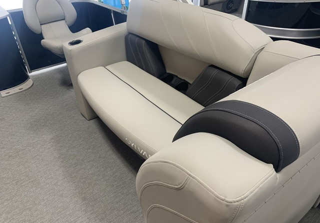 Sylvan 8520 Party Fish