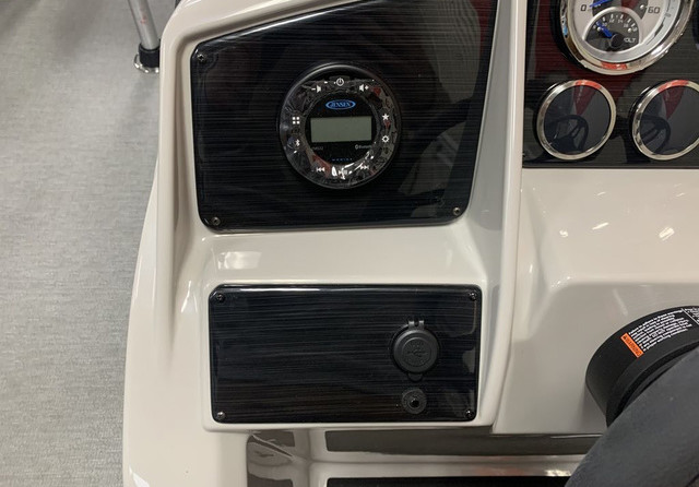 Sylvan 8520 Party Fish