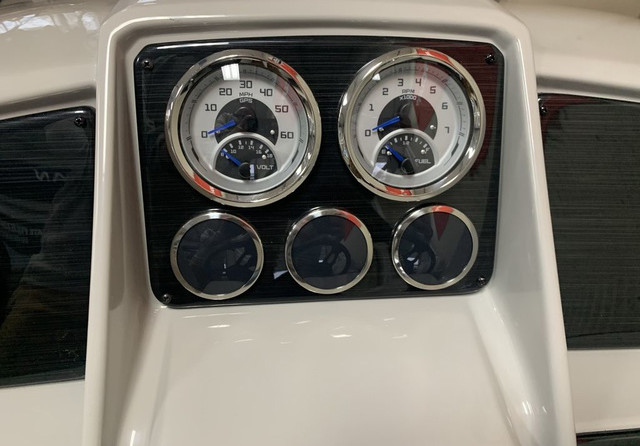 Sylvan 8520 Party Fish