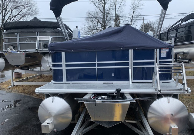 Sylvan 8520 Party Fish