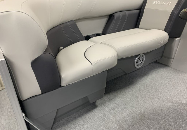 Sylvan 8520 Party Fish