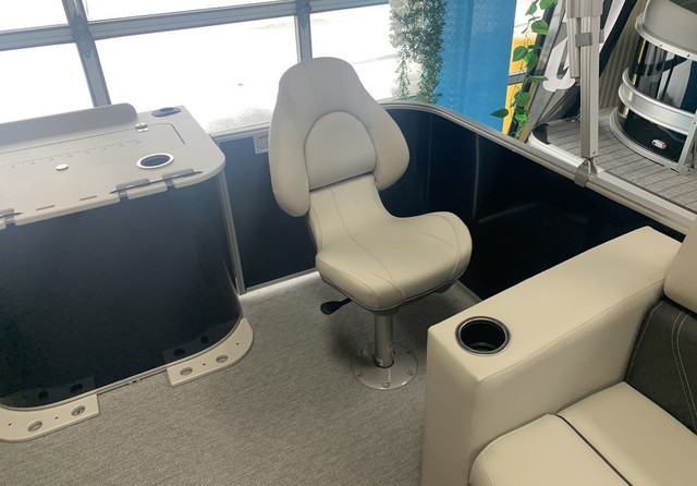 Sylvan 8520 Party Fish