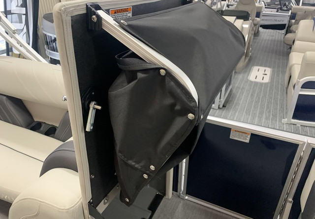 Sylvan 8520 Party Fish