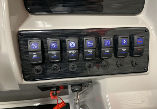 Sylvan 8520 Party Fish