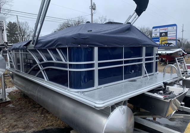 Sylvan 8520 Party Fish