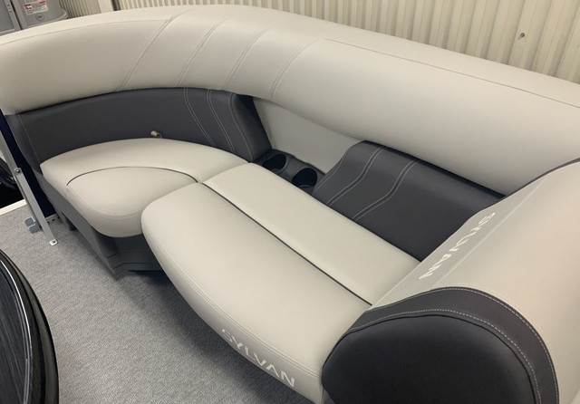 Sylvan 8520 Party Fish