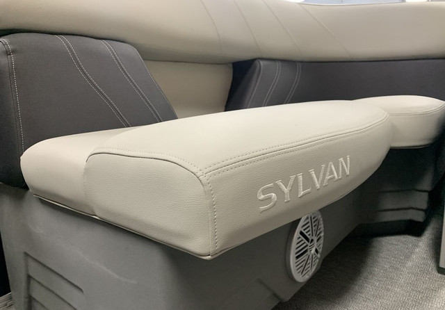 Sylvan 8520 Party Fish