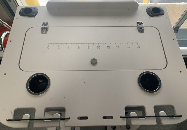 Sylvan 8520 Party Fish