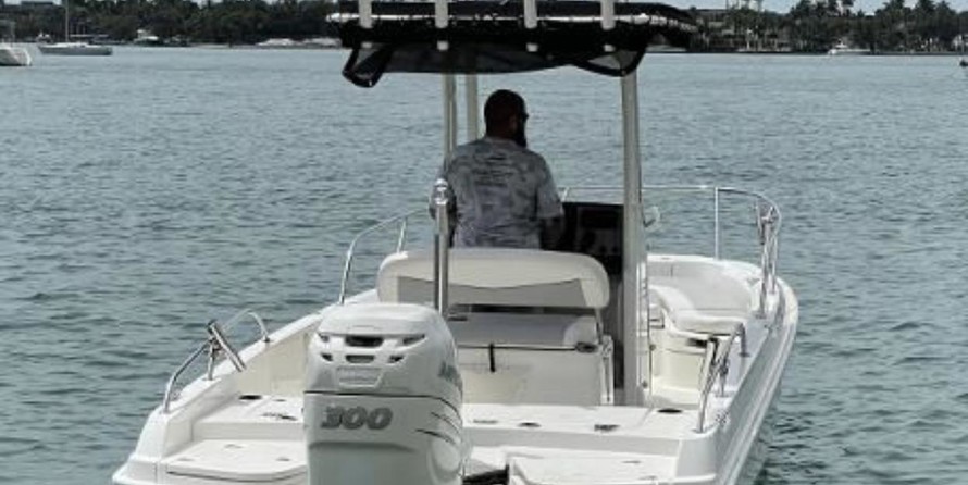 Boston Whaler 240 Dauntless