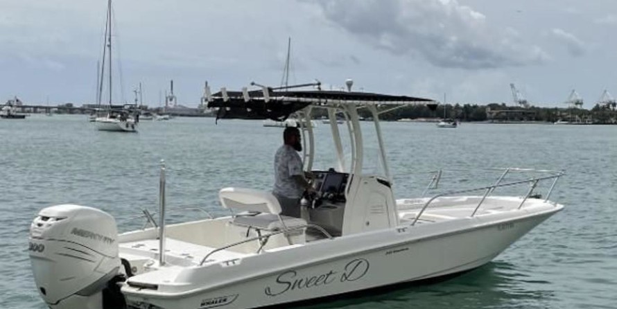 Boston Whaler 240 Dauntless