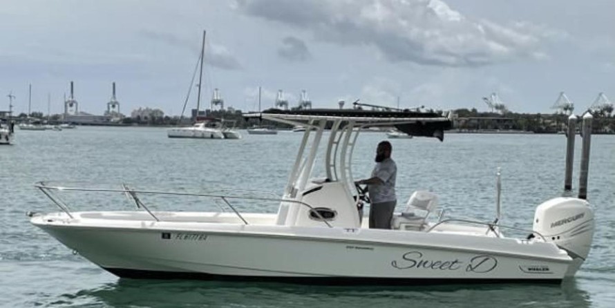 Boston Whaler 240 Dauntless