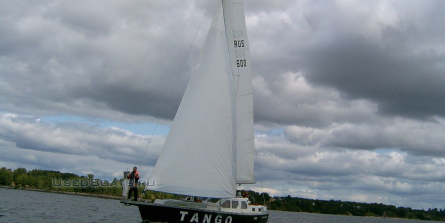 НКИ-41 Tiger (Tango)