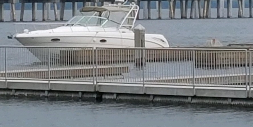 Sea Ray 290 Amberjack