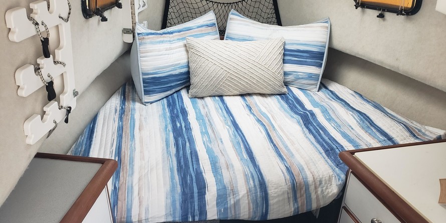 Bayliner Trophy 233 WA