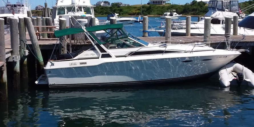 Sea Ray 300 Sundancer