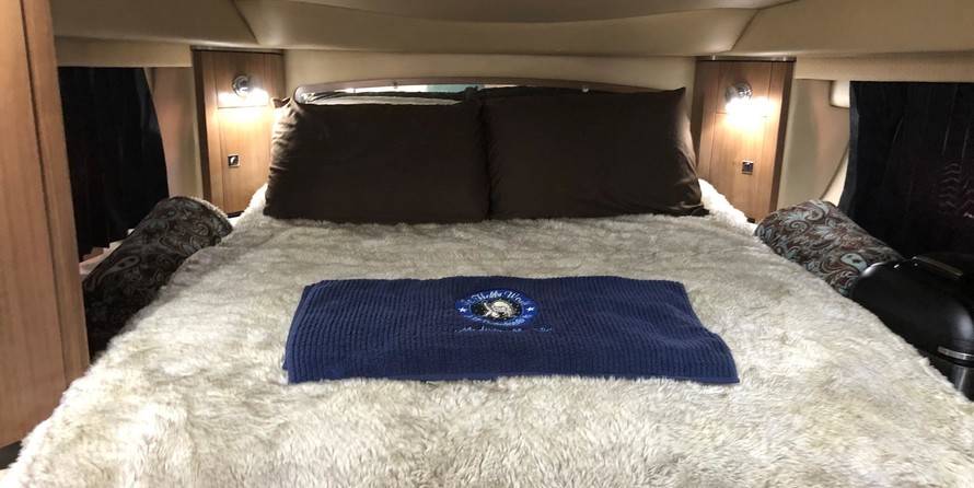 Chaparral 310 Signature