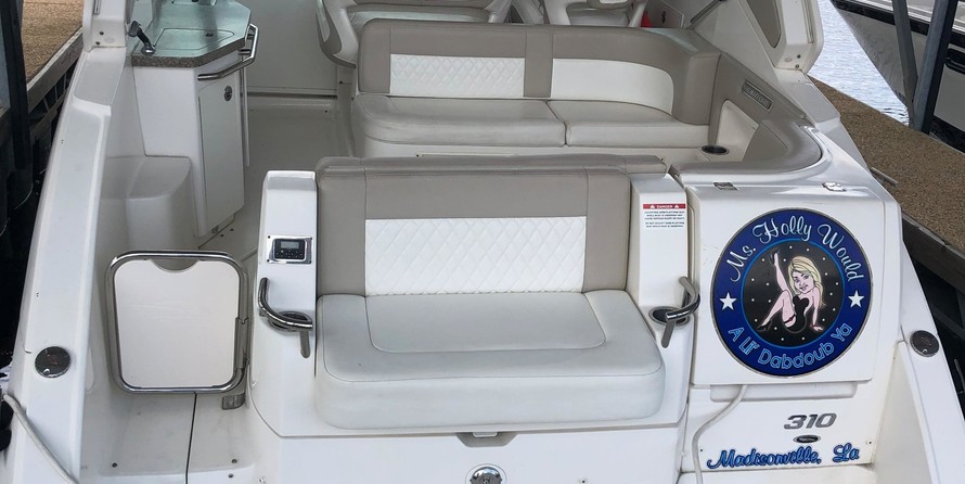 Chaparral 310 Signature