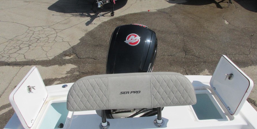 Sea Ray pro 208 bay