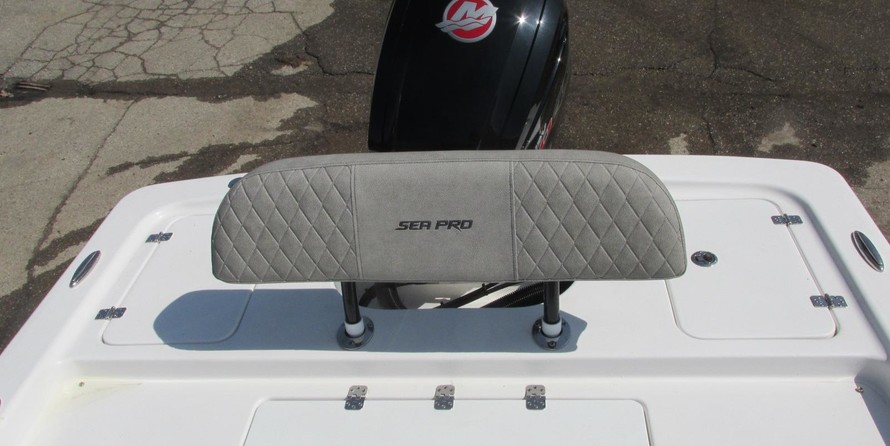 Sea Ray pro 208 bay