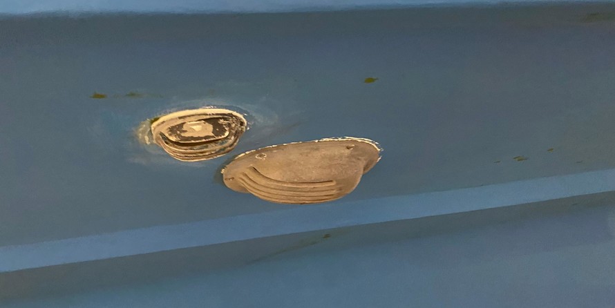 Jefferson 52 marquessa edh