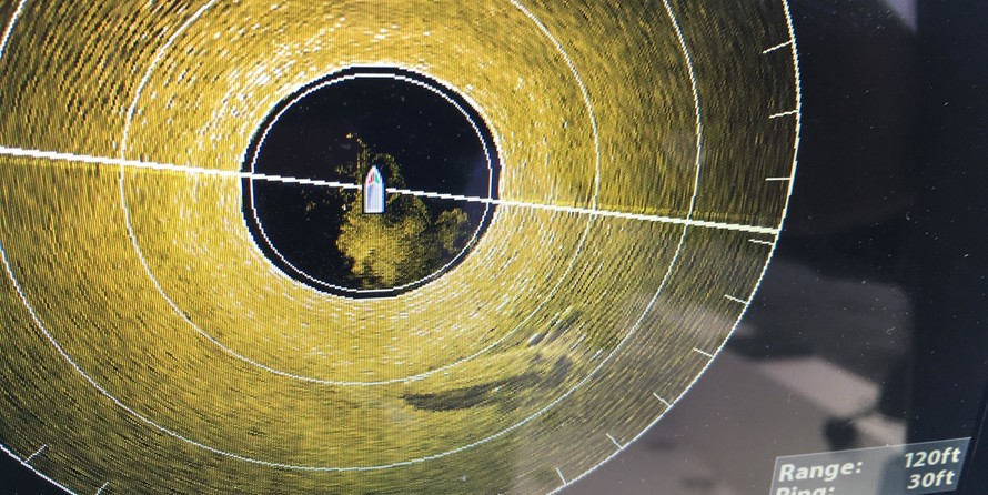 Yamaha 210 FSH Sport