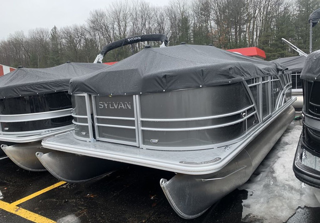 Sylvan 8520 Party Fish