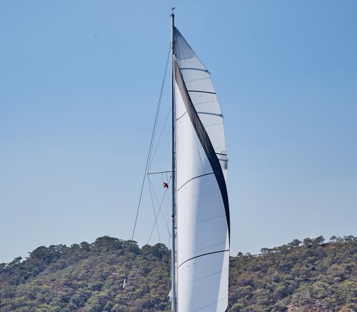 Leopard 40