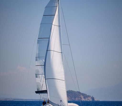 Leopard 40