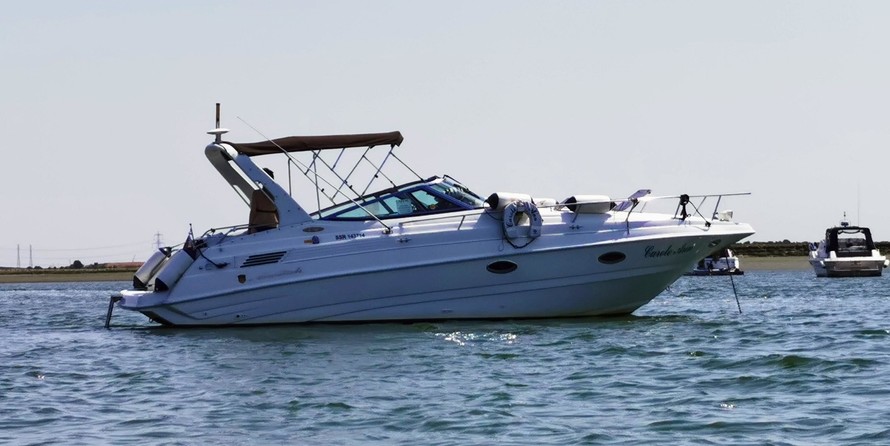 Mariah Z308