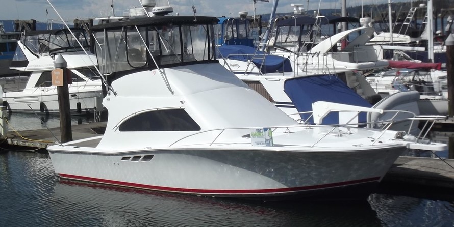 Luhrs 36 Convertible