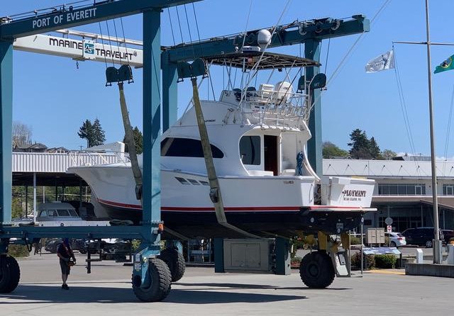 Luhrs 36 Convertible