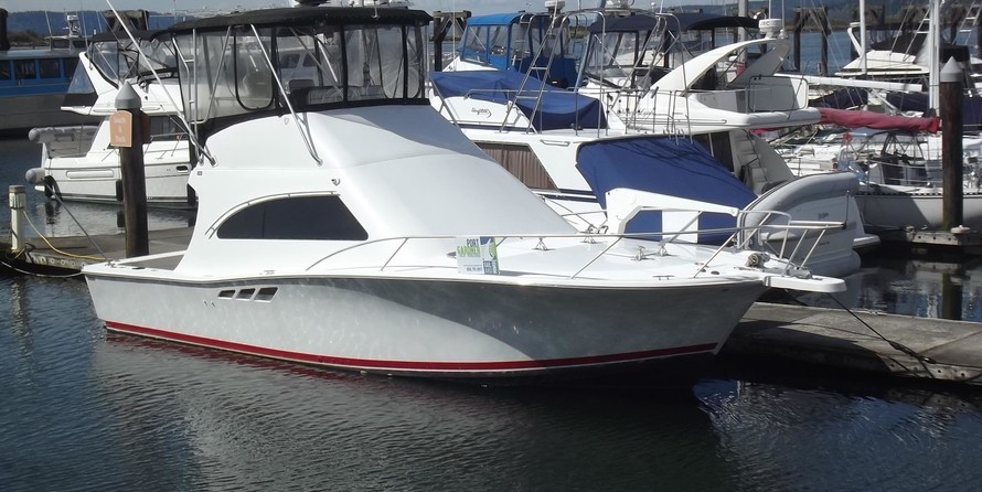 Luhrs 36 Convertible