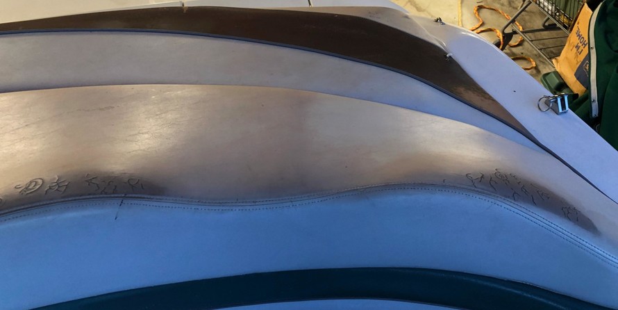 Four winns 220 horizon