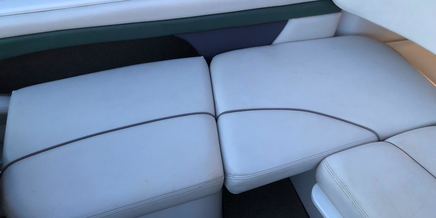 Four winns 220 horizon